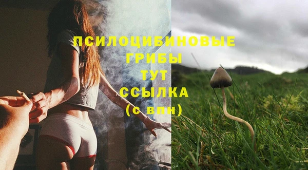 бутират Арсеньев