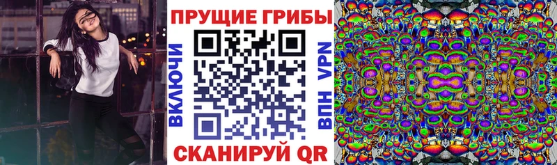 Галлюциногенные грибы Psilocybe Североморск