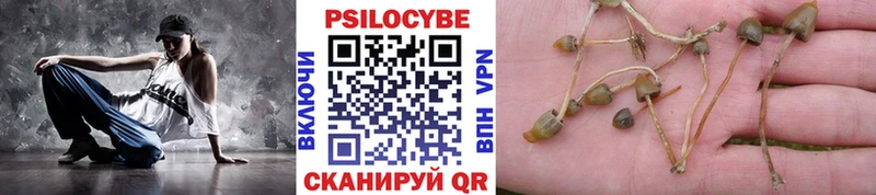 omg ссылка  Североморск  Галлюциногенные грибы мицелий  дарк нет формула  где найти  